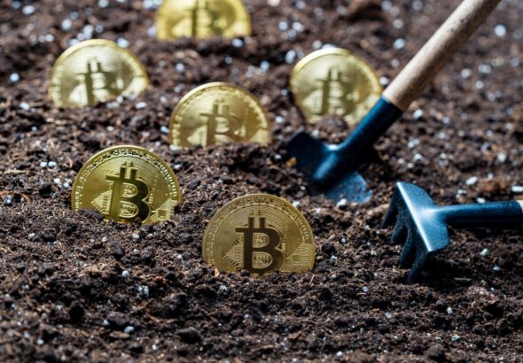 Planting,A,Gold,Bitcoin,Coins,Into,The,Ground,,Close,Up.