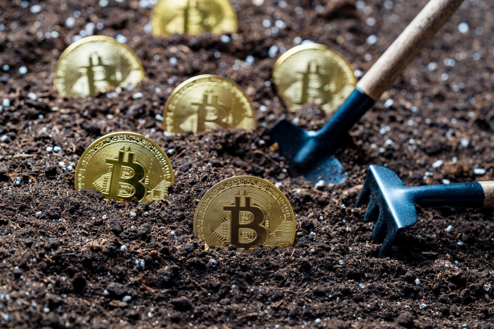 Planting,A,Gold,Bitcoin,Coins,Into,The,Ground,,Close,Up.