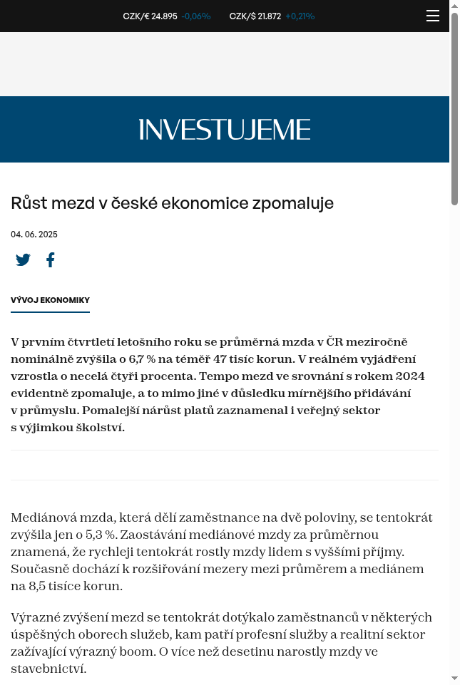 rust-mezd-v-ceske-ekonomice-zpomaluje