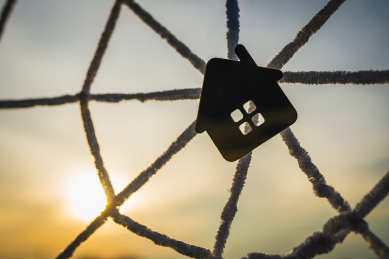 Silhouette,Of,A,House,Trapped,In,A,Spider,Web,Against