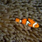 amla-a-nove-aml-vyzvy-pro-pojistovnictvi