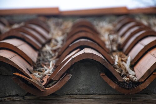 nemci-masivne-investuji-do-chytrych-domacnosti-dominuje-zajem-o-uspory-energie