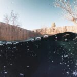 gcp-pocet-pojistnych-udalosti-zpusobeny-zivly-poklesl-nektere-skody-prodrazily