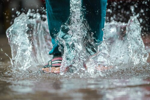 cesi-o-podpojisteni-vedi-smlouvu-vsak-aktualizovalo-jen-28-z-nich