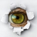 kontrolujte-sve-dodavatele-driv-nez-bude-pozde