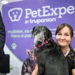 pojisteni-domacich-mazlicku-101-promente-ctyrnohe-deti-ve-svou-dalsi-velkou-prilezitost