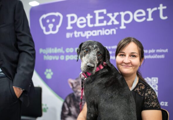 pojisteni-domacich-mazlicku-101-promente-ctyrnohe-deti-ve-svou-dalsi-velkou-prilezitost