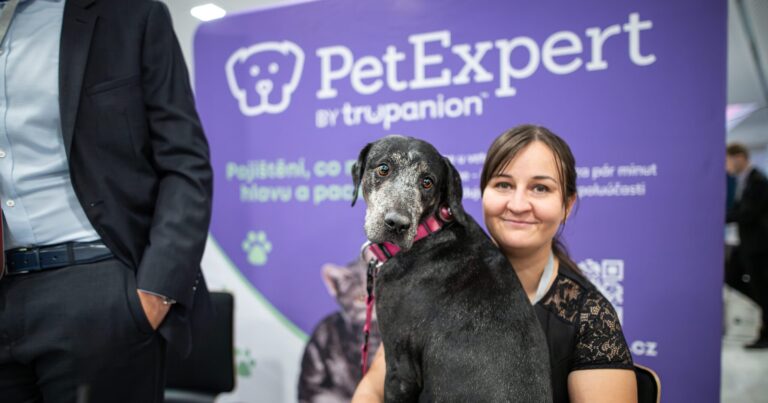 pojisteni-domacich-mazlicku-101-promente-ctyrnohe-deti-ve-svou-dalsi-velkou-prilezitost