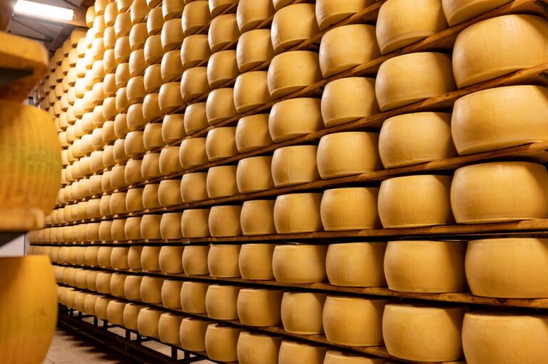 Process,Of,Making,Parmigiano-reggiano,Parmesan,Hard,Cheese,On,Small,Cheese