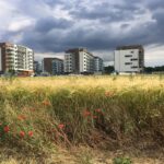 Field,In,Front,Of,Panel,Houses,,Housing,Estate,Houses,,Field,
