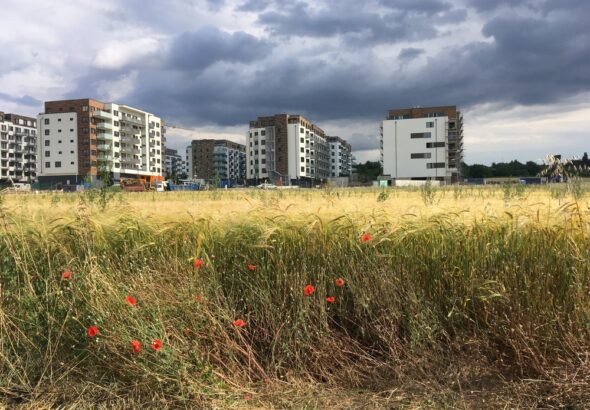 Field,In,Front,Of,Panel,Houses,,Housing,Estate,Houses,,Field,