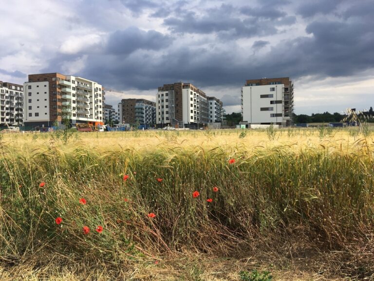 Field,In,Front,Of,Panel,Houses,,Housing,Estate,Houses,,Field,